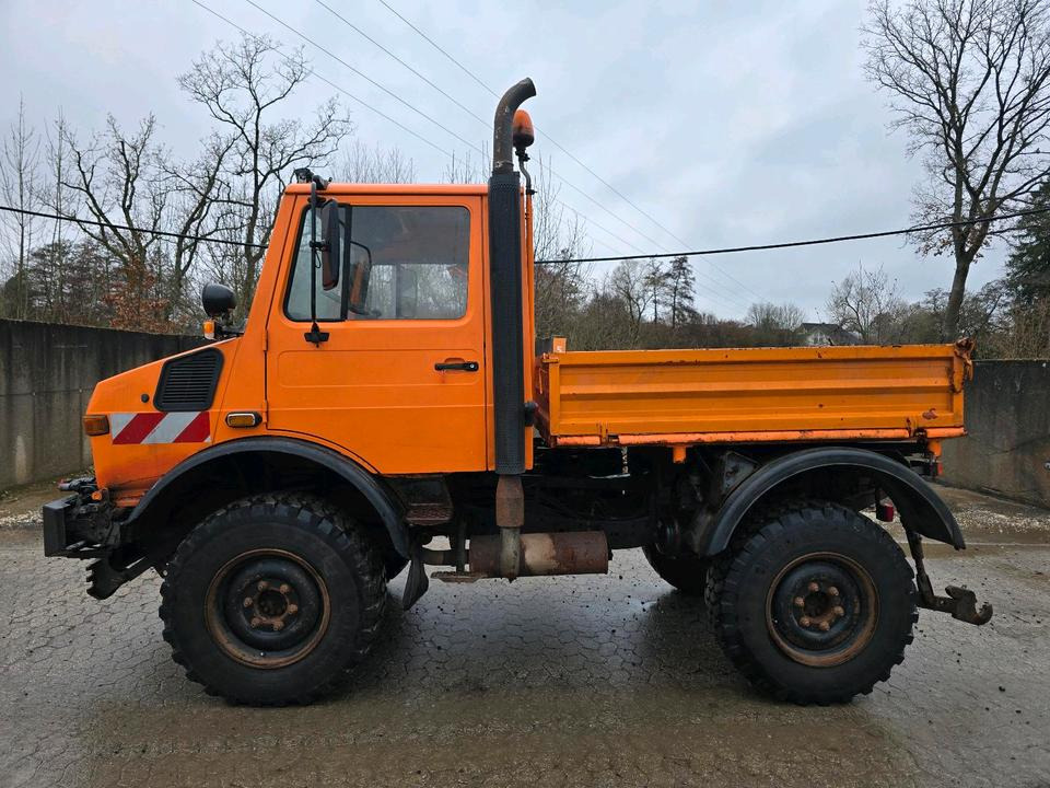 Unimog U1400 Agrar bj. 1995 424 427/10 Mercedes-Benz 1400 1600 1200 1000 - Самосвал, Коммунальная/ Специальная техника: фото 5 Unimog U1400 Agrar bj. 1995 424 427/10 Mercedes-Benz 1400 1600 1200 1000 - Самосвал, Коммунальная/ Специальная техника: фото 5