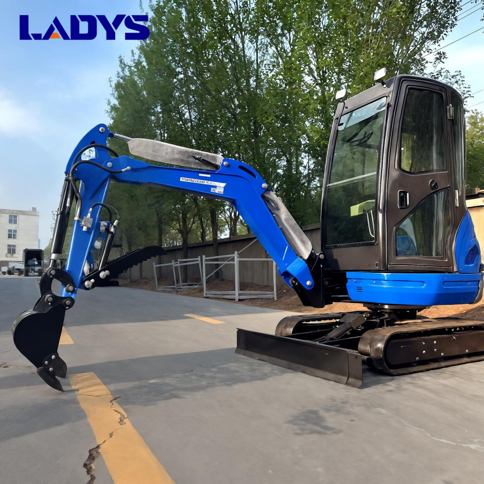 LADYS DY25U Mini Excavator Kubota Euro 5/Epa Engine Mini Excavator For Sale - Мини-экскаватор: фото 4 LADYS DY25U Mini Excavator Kubota Euro 5/Epa Engine Mini Excavator For Sale - Мини-экскаватор: фото 4