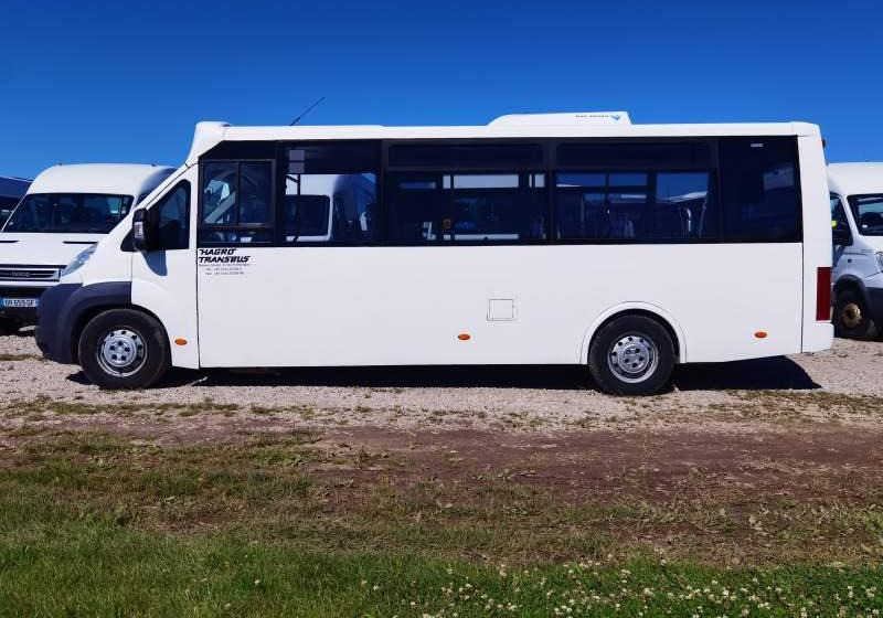 Fiat Ducato miejski, przewóz osób niepełnosprawnych - Городской автобус: фото 5 Fiat Ducato miejski, przewóz osób niepełnosprawnych - Городской автобус: фото 5