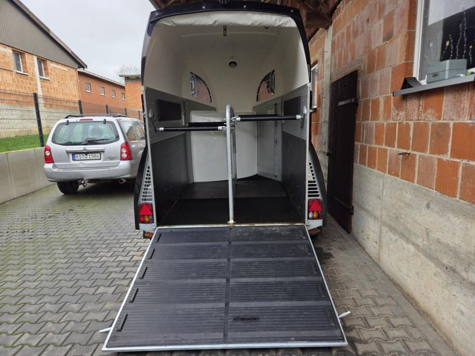 Böckmann Pferdeanhänger Champion R SaKa. WCF-Fahrwerk 100 km/h - Прицеп-коневоз: фото 4 Böckmann Pferdeanhänger Champion R SaKa. WCF-Fahrwerk 100 km/h - Прицеп-коневоз: фото 4