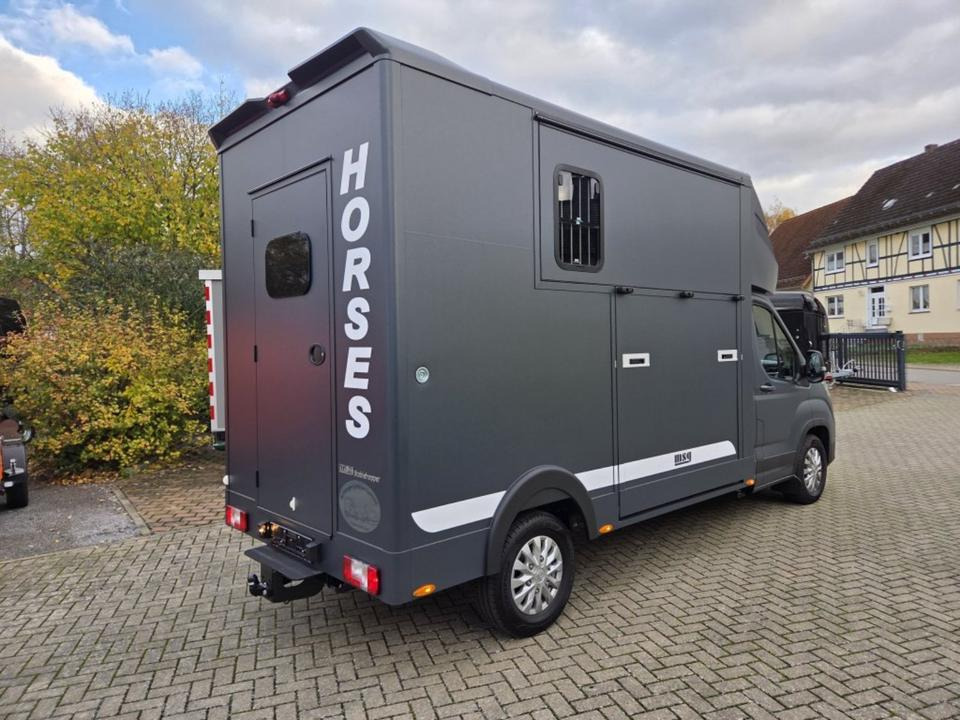 MSG Stablehopper Pferdetransporter Pferdeanhänger Böckmann - Коневоз: фото 3 MSG Stablehopper Pferdetransporter Pferdeanhänger Böckmann - Коневоз: фото 3