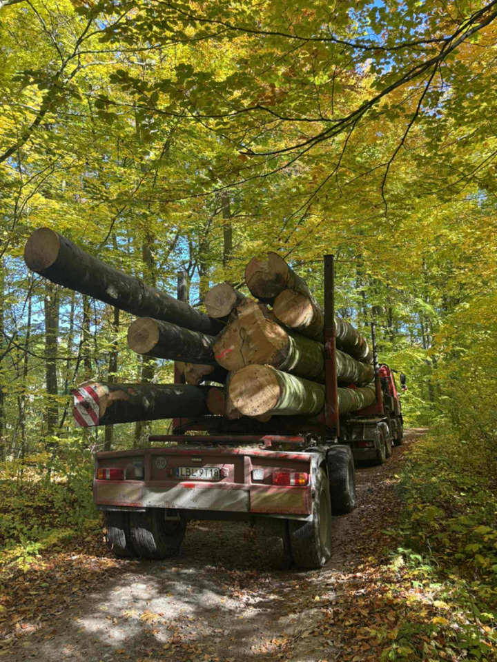 DAF CF510 - Лесовоз, Автоманипулятор: фото 3 DAF CF510 - Лесовоз, Автоманипулятор: фото 3