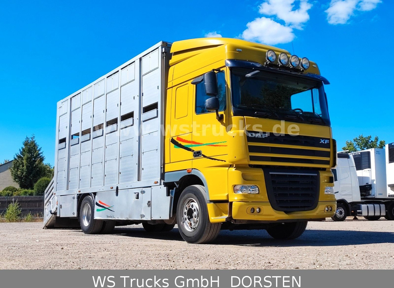 DAF XF 410 SC Menke Doppelstock - Коневоз: фото 4 DAF XF 410 SC Menke Doppelstock - Коневоз: фото 4