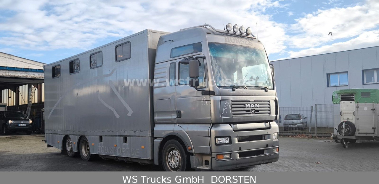 MAN TGA 26.480 FG 6x2 Pferdetransporter Luft/Luft - Коневоз: фото 3 MAN TGA 26.480 FG 6x2 Pferdetransporter Luft/Luft - Коневоз: фото 3