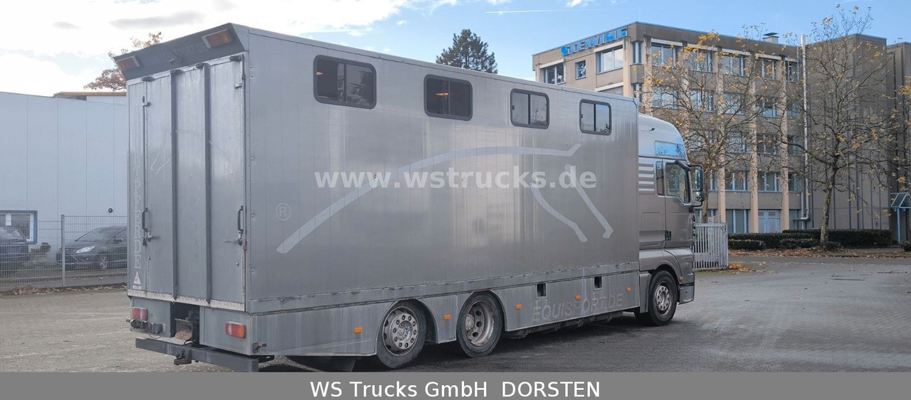 MAN TGA 26.480 FG 6x2 Pferdetransporter Luft/Luft - Коневоз: фото 4 MAN TGA 26.480 FG 6x2 Pferdetransporter Luft/Luft - Коневоз: фото 4