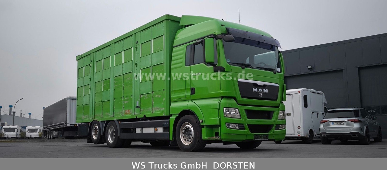 MAN TGX 26.480 XL KABA 3 Stock Viehtransporter - Коневоз: фото 4 MAN TGX 26.480 XL KABA 3 Stock Viehtransporter - Коневоз: фото 4