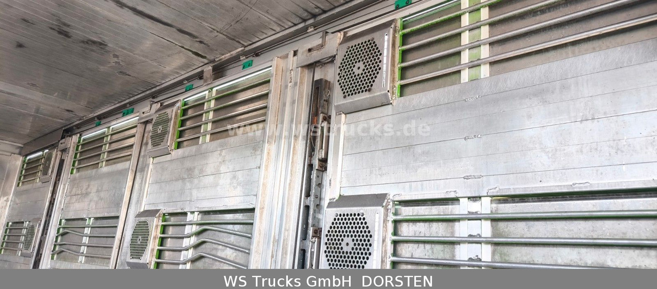 Коневоз MAN TGX 26.480 XL KABA   3 Stock Vollalu: фото 12