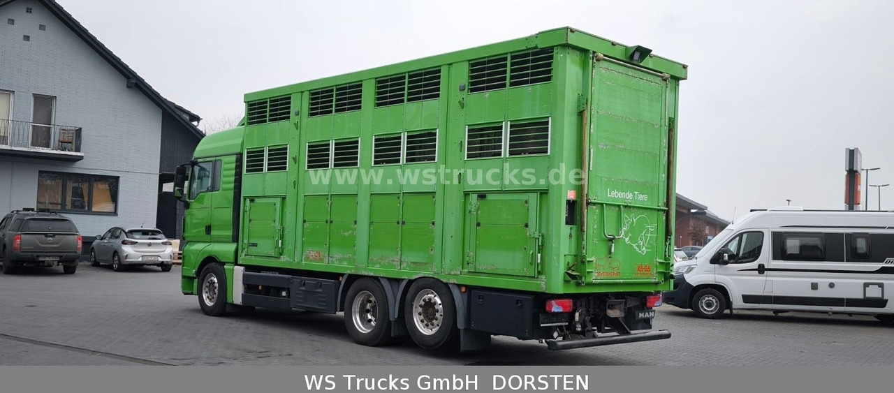 Коневоз MAN TGX 26.480 XL KABA   3 Stock Vollalu: фото 9