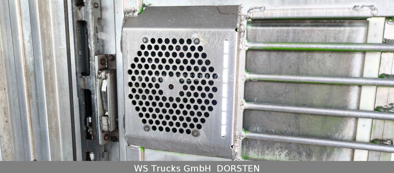 Коневоз MAN TGX 26.480 XL KABA   3 Stock Vollalu: фото 13