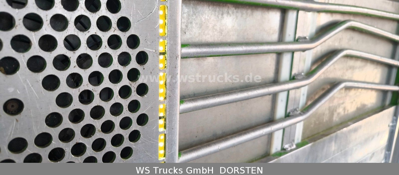 Коневоз MAN TGX 26.480 XL KABA   3 Stock Vollalu: фото 15