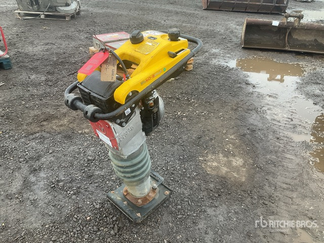 2020 Wacker Neuson BS50-2plus Demolition Breaker Jumping Jack Tamper - Трамбовка: фото 2 2020 Wacker Neuson BS50-2plus Demolition Breaker Jumping Jack Tamper - Трамбовка: фото 2