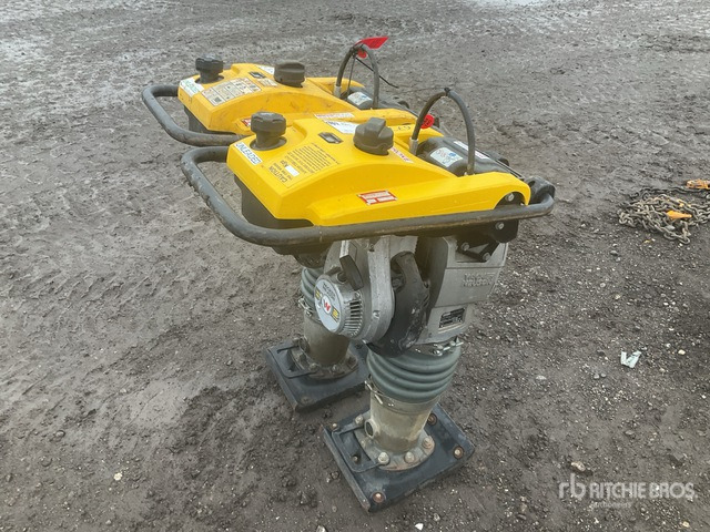 2020 Wacker Neuson BS50-2plus Jumping Jack Tamper Jumping Jack Tamper - Трамбовка: фото 4 2020 Wacker Neuson BS50-2plus Jumping Jack Tamper Jumping Jack Tamper - Трамбовка: фото 4