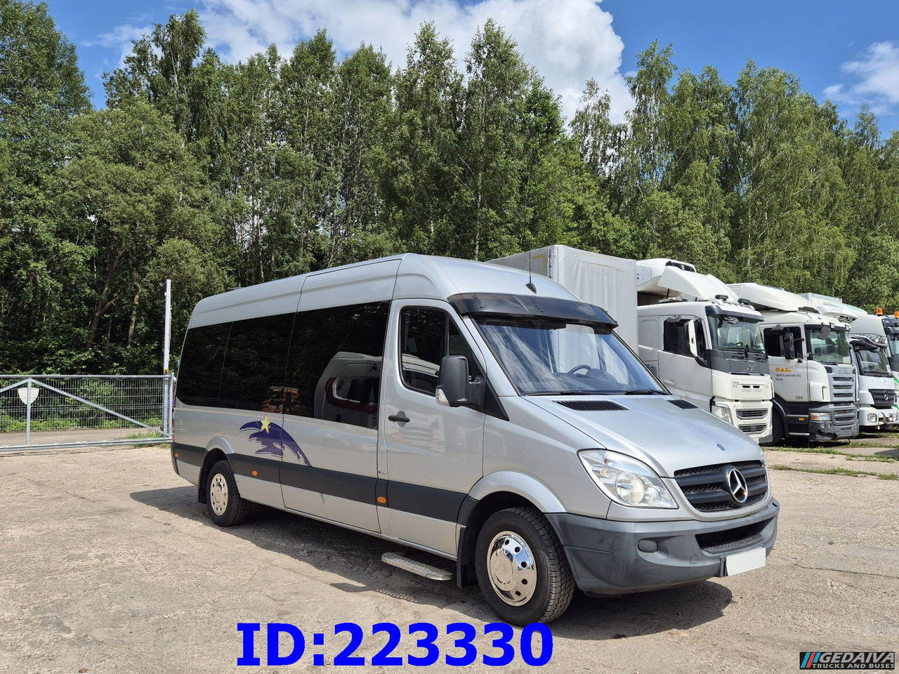 MERCEDES-BENZ Sprinter 313 VIP 14Place Euro5 - Туристический автобус: фото 4 MERCEDES-BENZ Sprinter 313 VIP 14Place Euro5 - Туристический автобус: фото 4