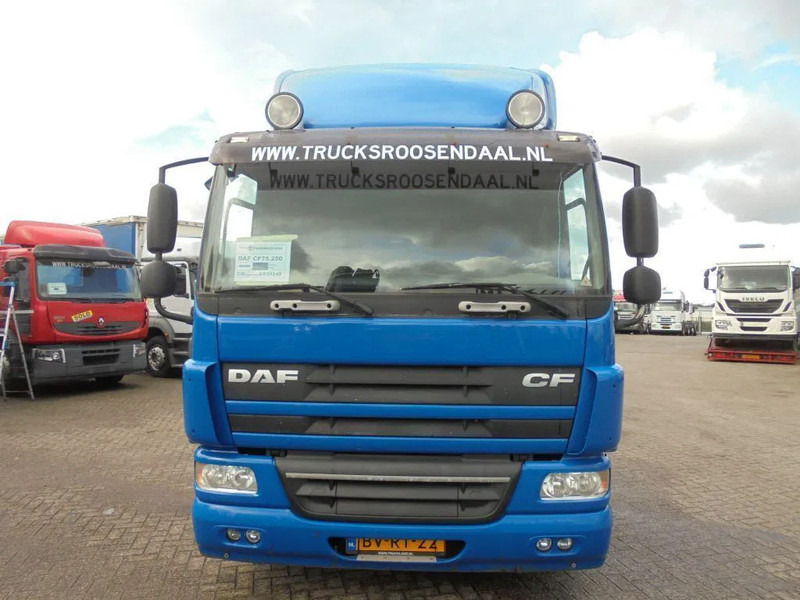 DAF CF 75.250 + Euro 5 - Грузовик-шасси: фото 2 DAF CF 75.250 + Euro 5 - Грузовик-шасси: фото 2