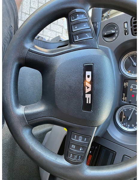 Грузовик с закрытым кузовом DAF LF220: фото 16