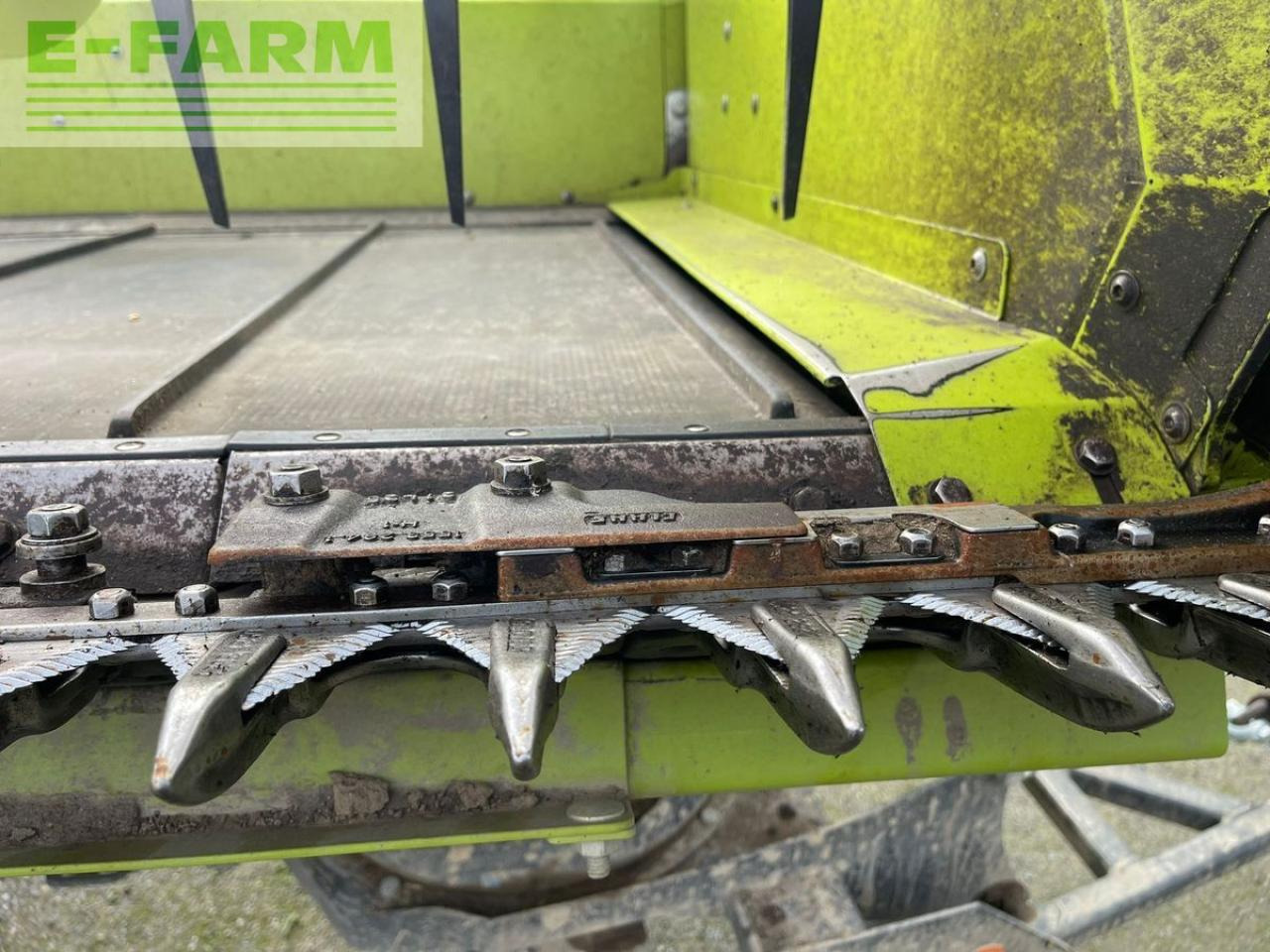 CLAAS covio flex 930 - Жатка зерновая: фото 3 CLAAS covio flex 930 - Жатка зерновая: фото 3