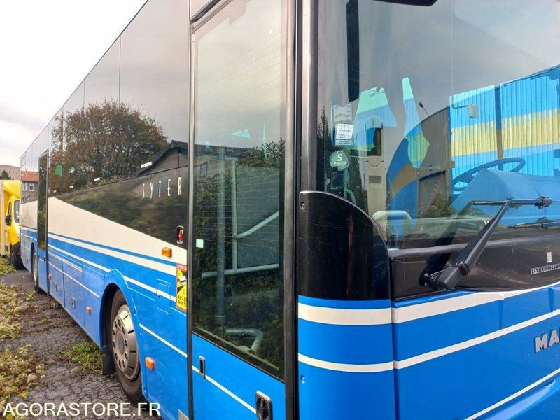 CAR MAN SYTER 919-AMP-51 - Школьный автобус: фото 3 CAR MAN SYTER 919-AMP-51 - Школьный автобус: фото 3