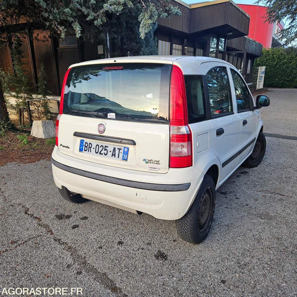 FIAT PANDA - Легковой автомобиль: фото 4 FIAT PANDA - Легковой автомобиль: фото 4
