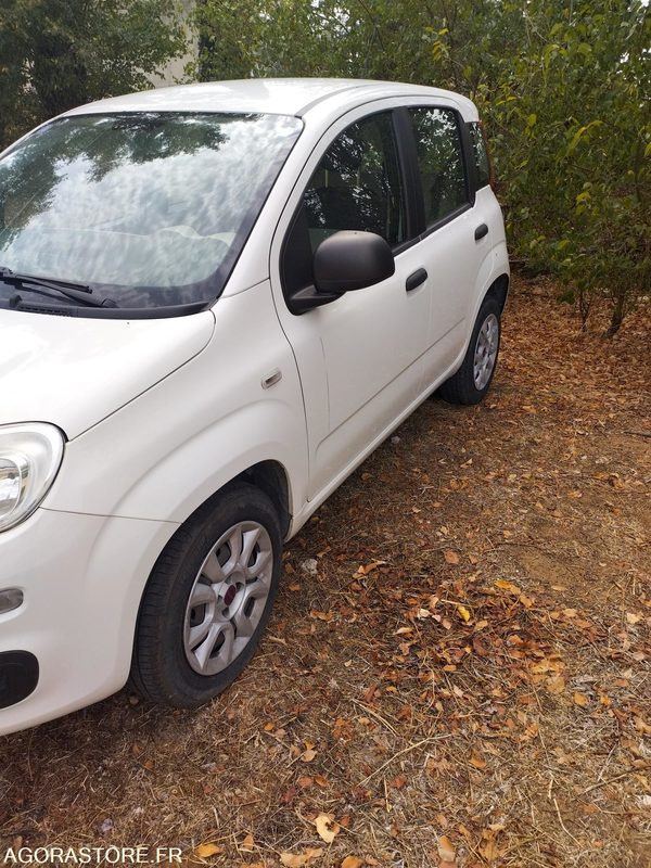 FIAT PANDA - Легковой автомобиль: фото 3 FIAT PANDA - Легковой автомобиль: фото 3