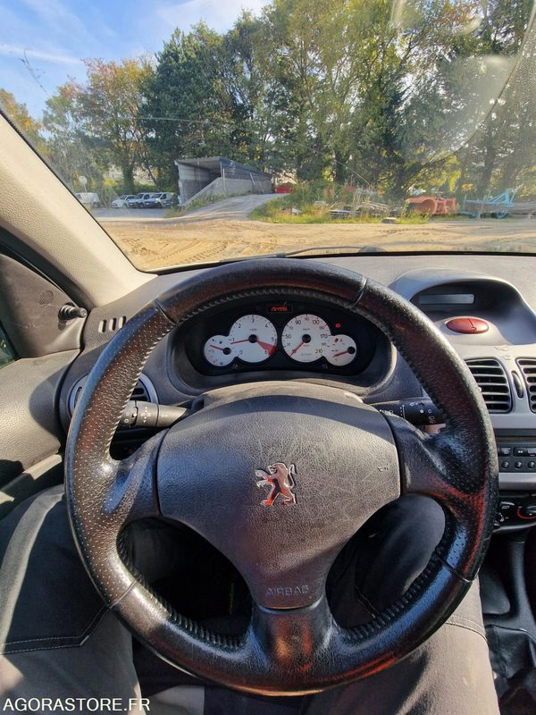 Легковой автомобиль PEUGEOT 206 - LOT N°1: фото 16