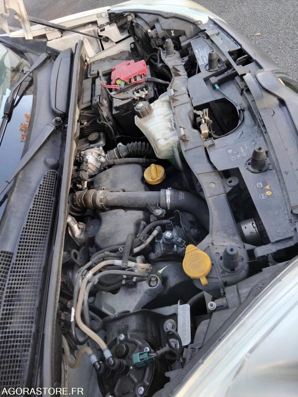 Легковой фургон Renault Kangoo: фото 41