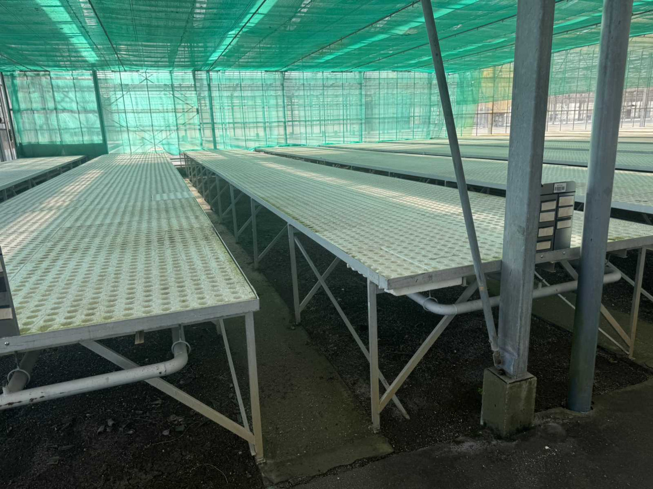 Сельскохозяйственная техника Aluminum cultivation table (1.82x15.00mtr) (25x): фото 9