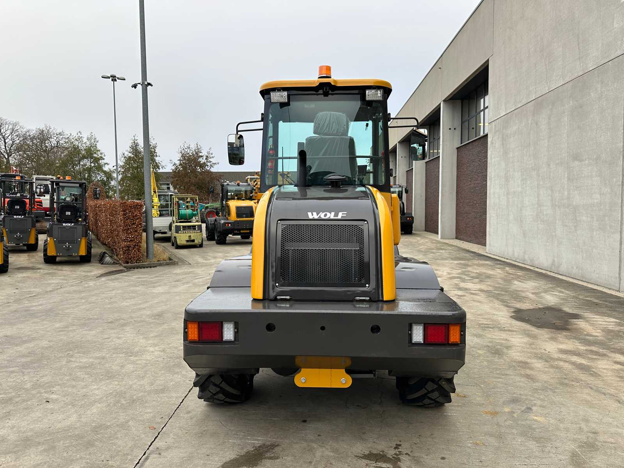 WOLF - 2025 - WL160 - WHEEL LOADER WOLF WL160 - Колёсный погрузчик: фото 5 WOLF - 2025 - WL160 - WHEEL LOADER WOLF WL160 - Колёсный погрузчик: фото 5