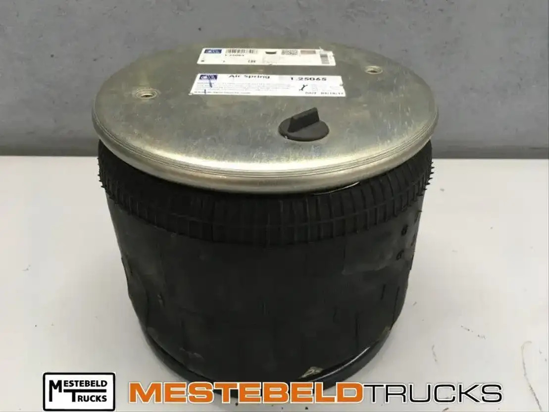 Scania L uchtbalg - Детали тормозной системы для Грузовиков: фото 1 Scania L uchtbalg - Детали тормозной системы для Грузовиков: фото 1