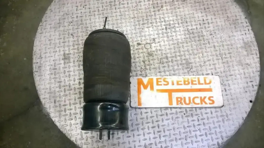 Детали тормозной системы для Грузовиков Scania L uchtbalg: фото 1