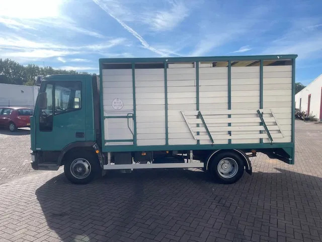 Iveco EuroCargo 65 BLADVERING / HANDGESCHAKELDE - Грузовик для перевозки животных: фото 4 Iveco EuroCargo 65 BLADVERING / HANDGESCHAKELDE - Грузовик для перевозки животных: фото 4