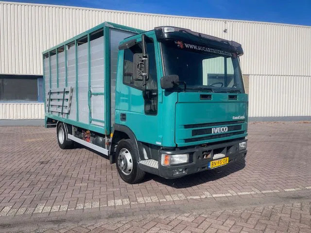 Iveco EuroCargo 65 FULL STEEL / MANUAL-GEAR - Грузовик-шасси: фото 1 Iveco EuroCargo 65 FULL STEEL / MANUAL-GEAR - Грузовик-шасси: фото 1