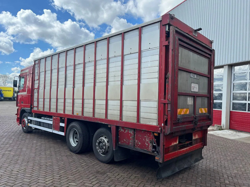 DAF XF FAR 95XF.380 EURO 2 - Грузовик для перевозки животных: фото 5 DAF XF FAR 95XF.380 EURO 2 - Грузовик для перевозки животных: фото 5