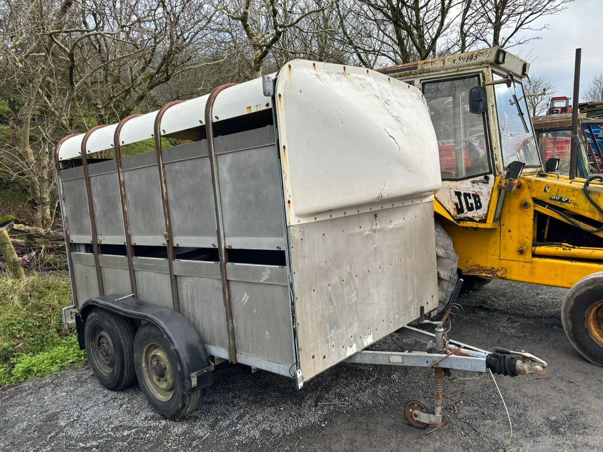 10X6 Ivor Williams - Прицеп для перевозки животных: фото 1 10X6 Ivor Williams - Прицеп для перевозки животных: фото 1