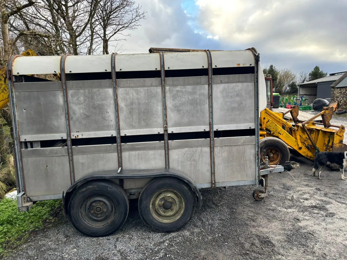 10X6 Ivor Williams - Прицеп для перевозки животных: фото 2 10X6 Ivor Williams - Прицеп для перевозки животных: фото 2