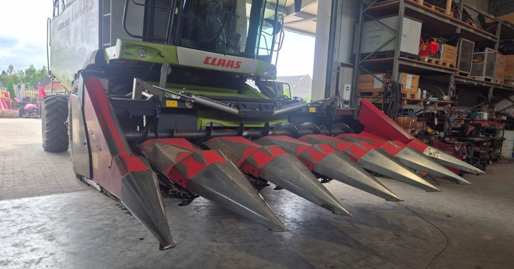 Dominoni - Жатка кукурузная: фото 1 Dominoni - Жатка кукурузная: фото 1