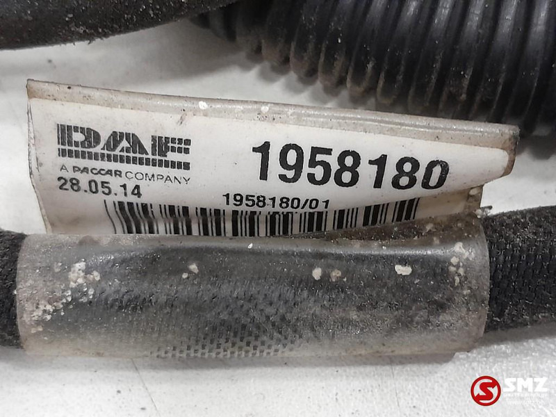 DAF Occ koplampkabelboom DAF - Кабели/ Провода для Грузовиков: фото 3 DAF Occ koplampkabelboom DAF - Кабели/ Провода для Грузовиков: фото 3