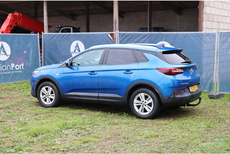 Opel Grandland X - Седан: фото 3 Opel Grandland X - Седан: фото 3